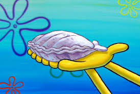 clam